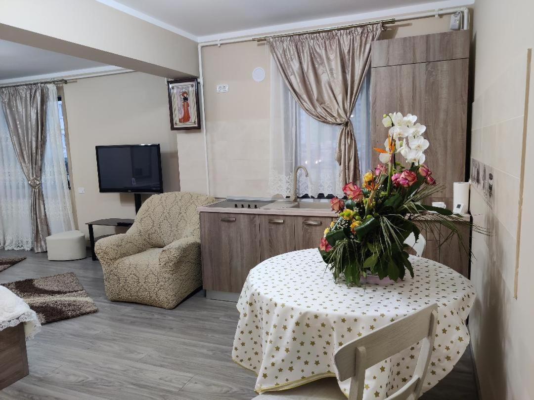 Corressy Studio Braşov Extérieur photo