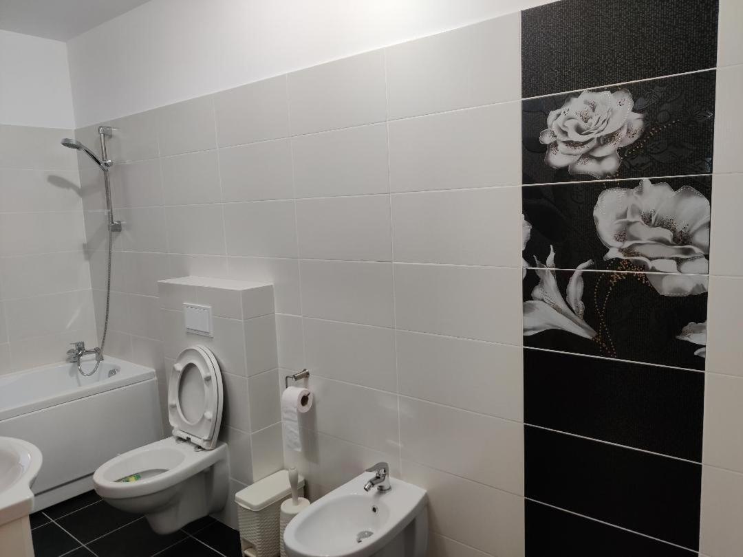 Corressy Studio Braşov Extérieur photo